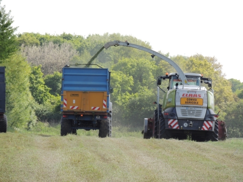 Ensilage Vendée - CLAAS