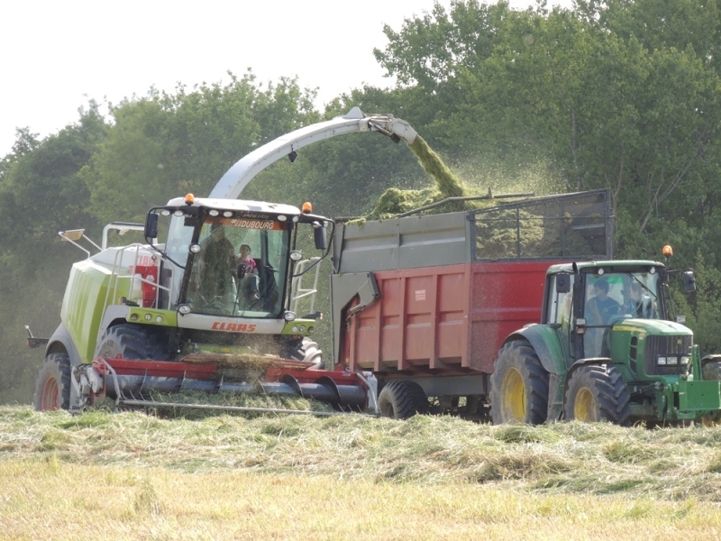 Ensilage