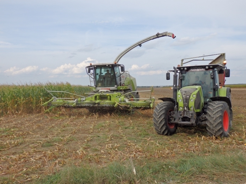 Ensileuse Claas Jaguar 660 10 rangs