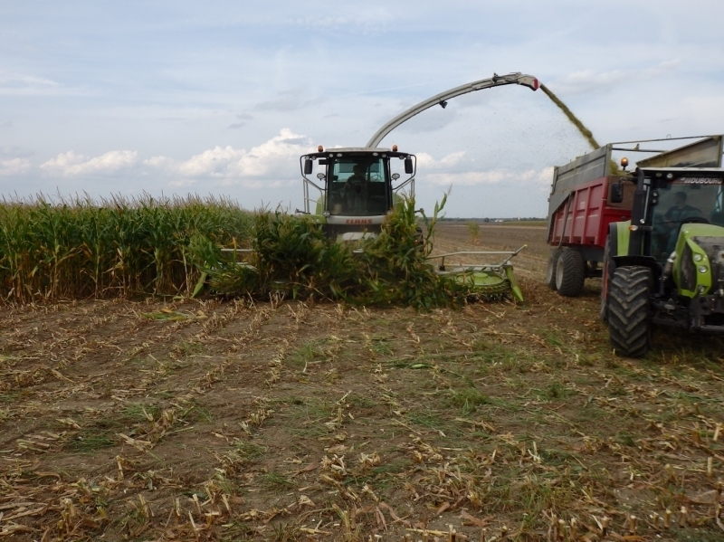 Ensileuse Claas Jaguar 660 10 rangs