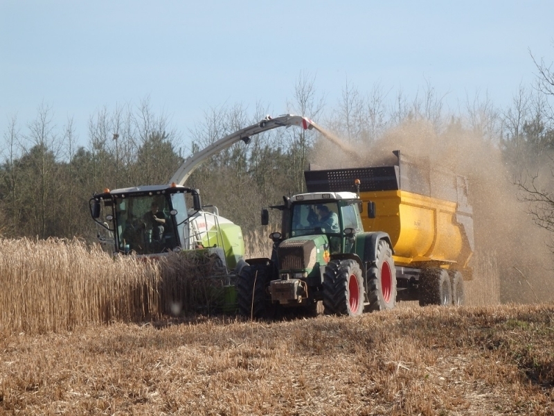 Ensileuse CLAAS JAGUAR 940 (ensilage de miscanthus)