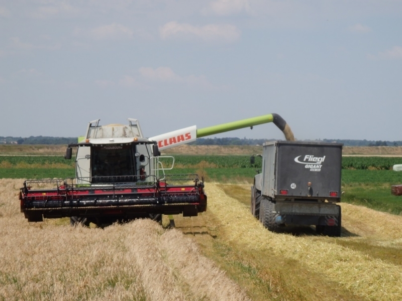 Moissonneuse batteuse LEXION 650