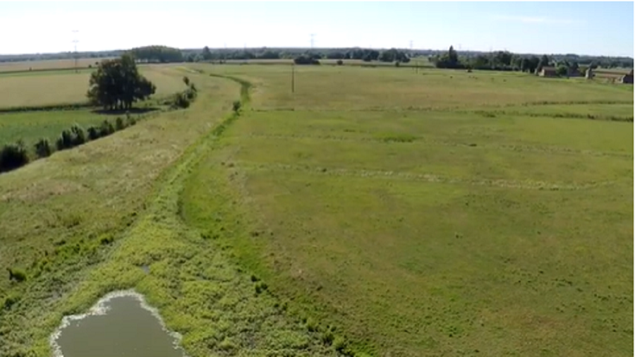 Rivière polluée de jussie